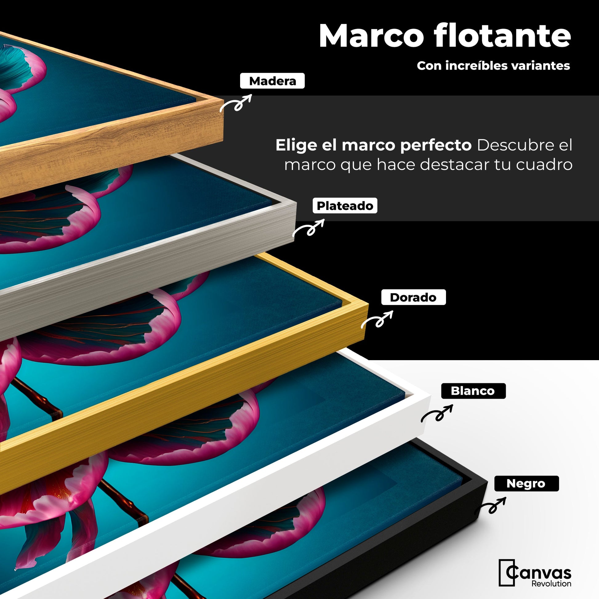 Cuadros Decorativos Canvas Revolution | Peonia Radiante | ColoresMarco
