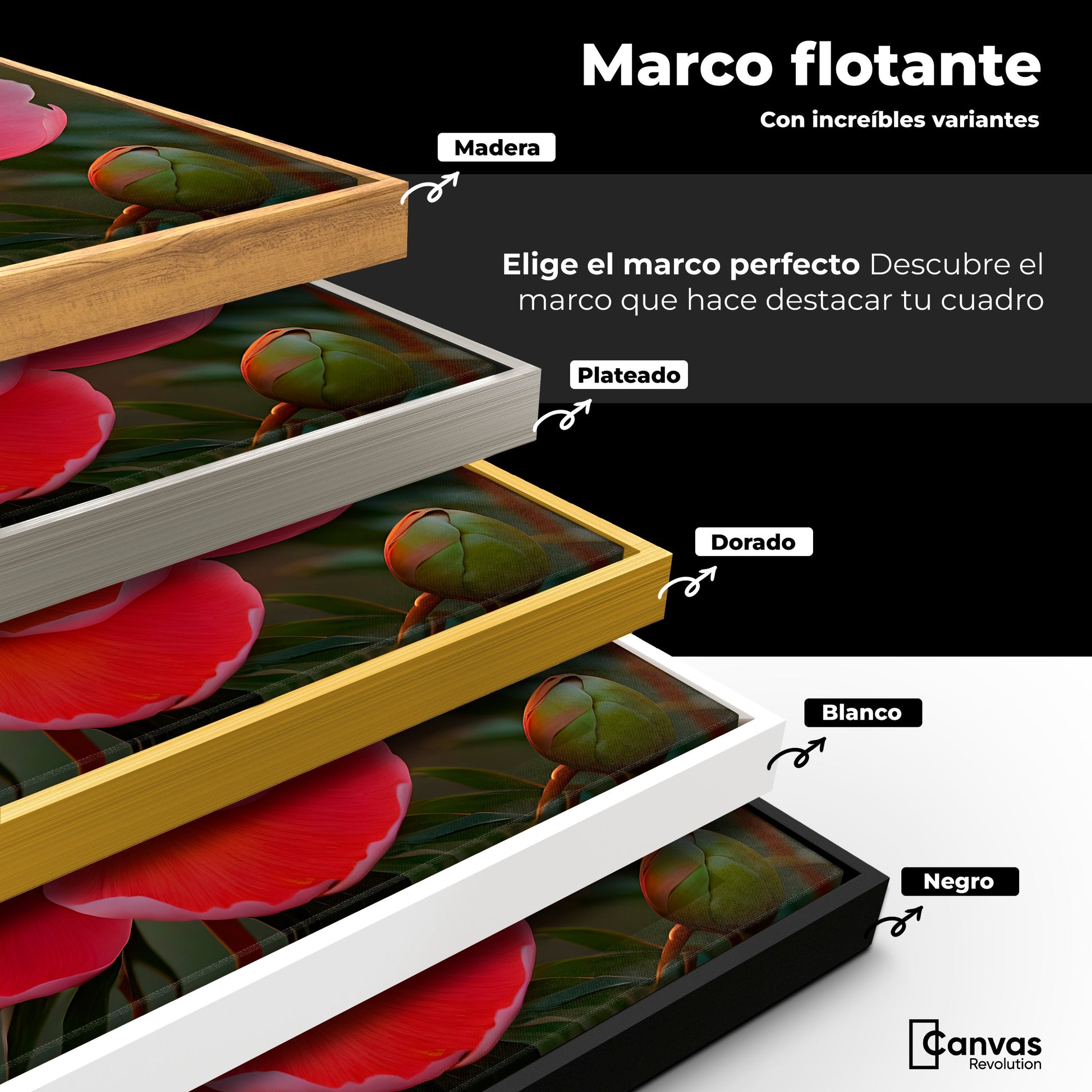 Cuadros Decorativos Canvas Revolution | Peonia Rosa Eterno | ColoresMarco