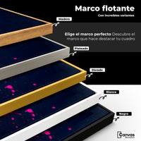 Cuadros Decorativos Canvas Revolution | Pinceladas Nectar | ColoresMarco