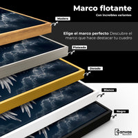 Cuadros Decorativos Canvas Revolution | Plumas Del Alma | ColoresMarco