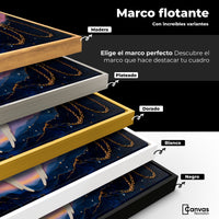 Cuadros Decorativos Canvas Revolution | Plumas Eternas | ColoresMarco