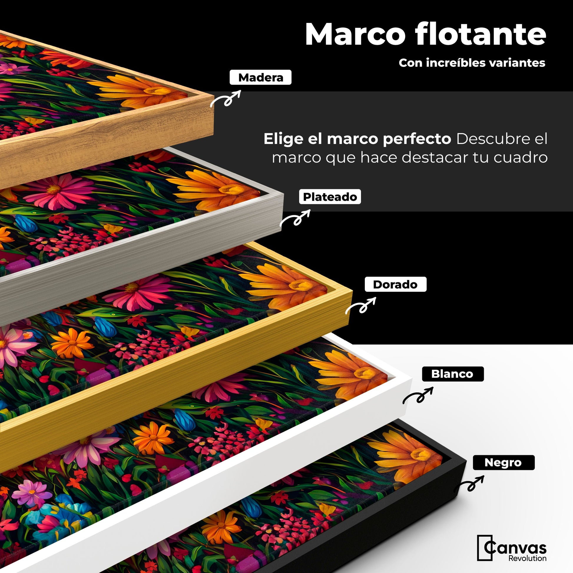 Cuadros Decorativos Canvas Revolution | Pradera Colores | ColoresMarco
