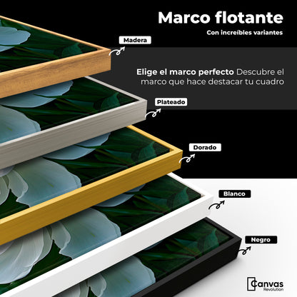 Cuadros Decorativos Canvas Revolution | Rayos De Peonia | ColoresMarco