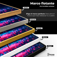 Cuadros Decorativos Canvas Revolution | Rosa Magia Pura | ColoresMarco