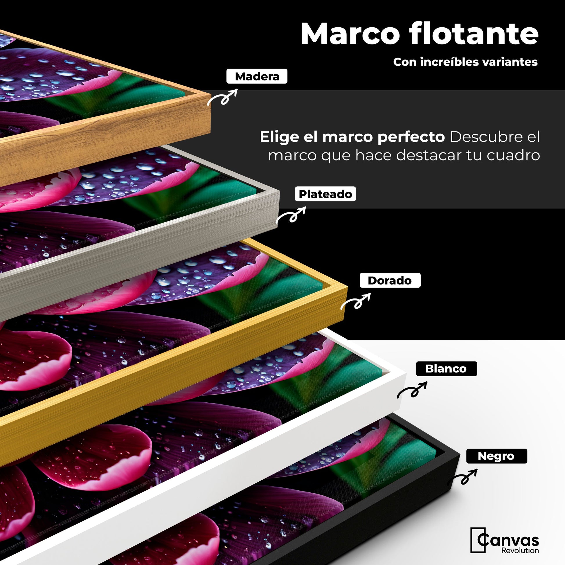 Cuadros Decorativos Canvas Revolution | Rosa Purpura Eterna | ColoresMarco