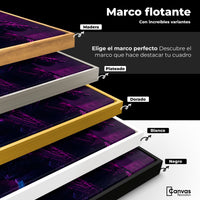 Cuadros Decorativos Canvas Revolution | Soldado Cyberpunk | ColoresMarco