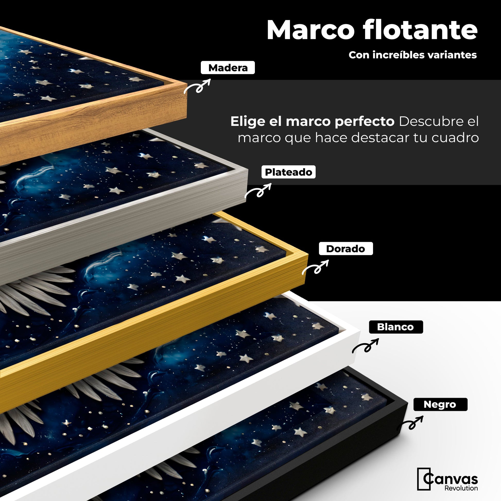 Cuadros Decorativos Canvas Revolution | Suenos Alados | ColoresMarco