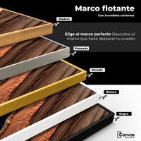 Cuadros Decorativos Canvas Revolution | Texturas Vibrantes | ColoresMarco