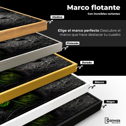 Cuadros Decorativos Canvas Revolution | Verde Silencio | ColoresMarco