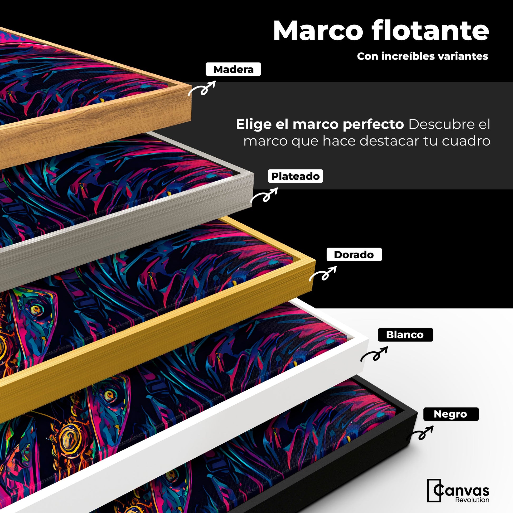 Cuadros Decorativos Canvas Revolution | Vibrante Solitario | ColoresMarco