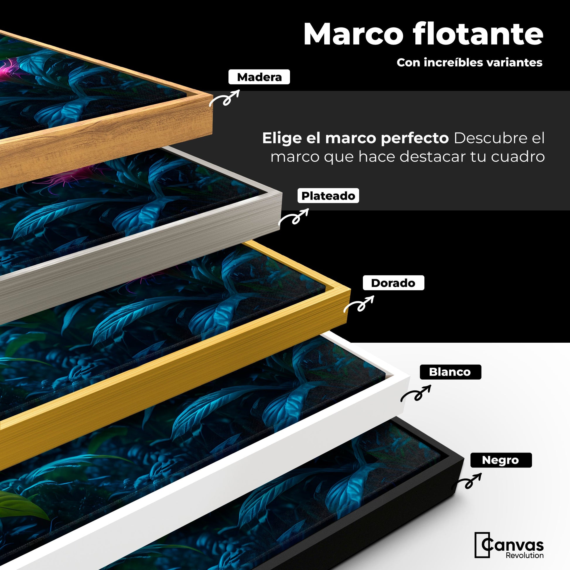 Cuadros Decorativos Canvas Revolution | Vuelo Brillante | ColoresMarco