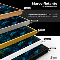 Cuadros Decorativos Canvas Revolution | Vuelo Brillante | ColoresMarco