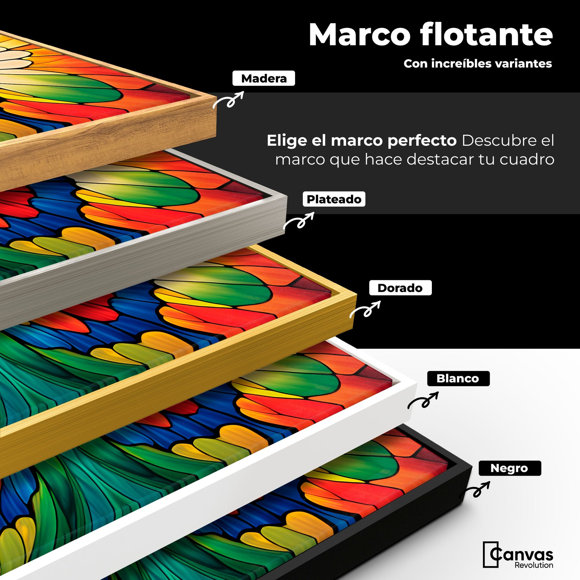 Cuadros Decorativos Canvas Revolution | Vuelo Fragmentado | ColoresMarco