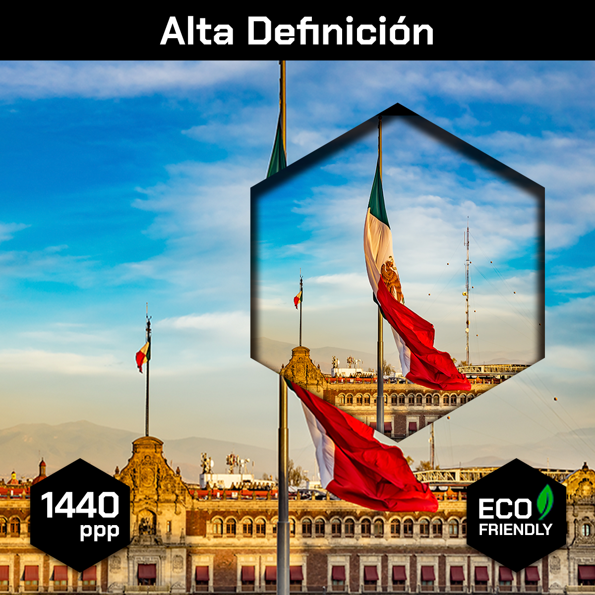 Cuadros Decorativos Canvas Revolution | 