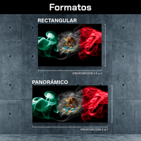 Cuadros Decorativos Canvas Revolution | 