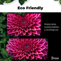 Cuadros Decorativos Canvas Revolution | Dalia Magenta Flor | EcoFriendly