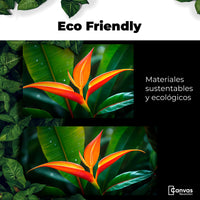 Cuadros Decorativos Canvas Revolution | Heliconia Pura Vida | EcoFriendly
