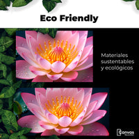 Cuadros Decorativos Canvas Revolution | Loto Dual Radiante | EcoFriendly