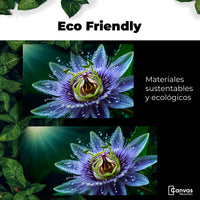 Cuadros Decorativos Canvas Revolution | Pasion Flor Eterna | EcoFriendly