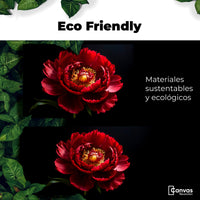 Cuadros Decorativos Canvas Revolution | Peonia De Noche | EcoFriendly