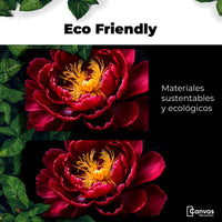 Cuadros Decorativos Canvas Revolution | Peonia Dualidad | EcoFriendly