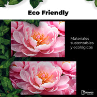 Cuadros Decorativos Canvas Revolution | Peonia Encanto | EcoFriendly