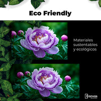 Cuadros Decorativos Canvas Revolution | Peonia Morada Viva | EcoFriendly