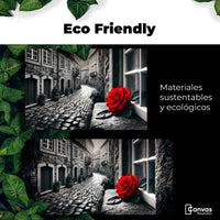 Cuadros Decorativos Canvas Revolution | Piedras Y Petalos | EcoFriendly