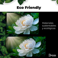 Cuadros Decorativos Canvas Revolution | Rayos De Peonia | EcoFriendly