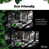 Cuadros Decorativos Canvas Revolution | Verde En Descanso | EcoFriendly
