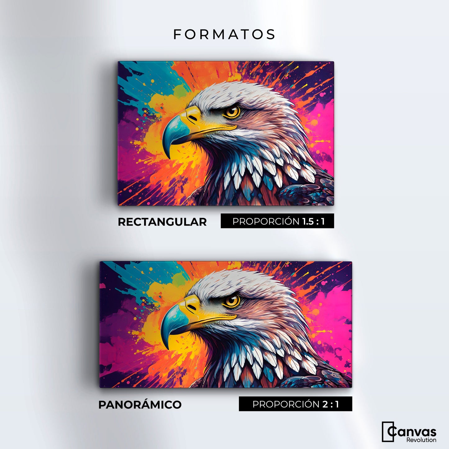 Cuadros Decorativos Canvas Revolution | Aguila Arcoiris | Formatos