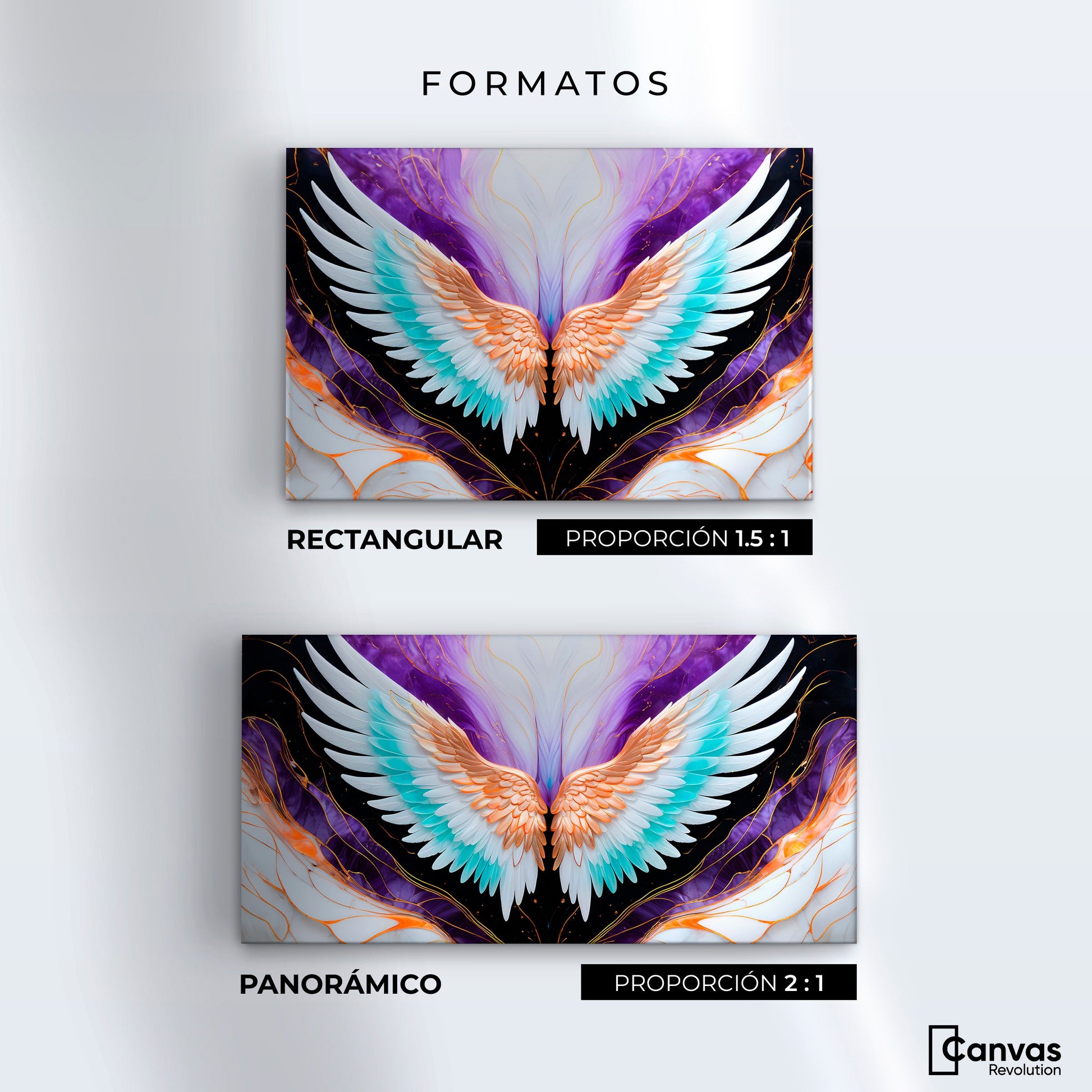 Cuadros Decorativos Canvas Revolution | Alas Angel Alma | Formatos