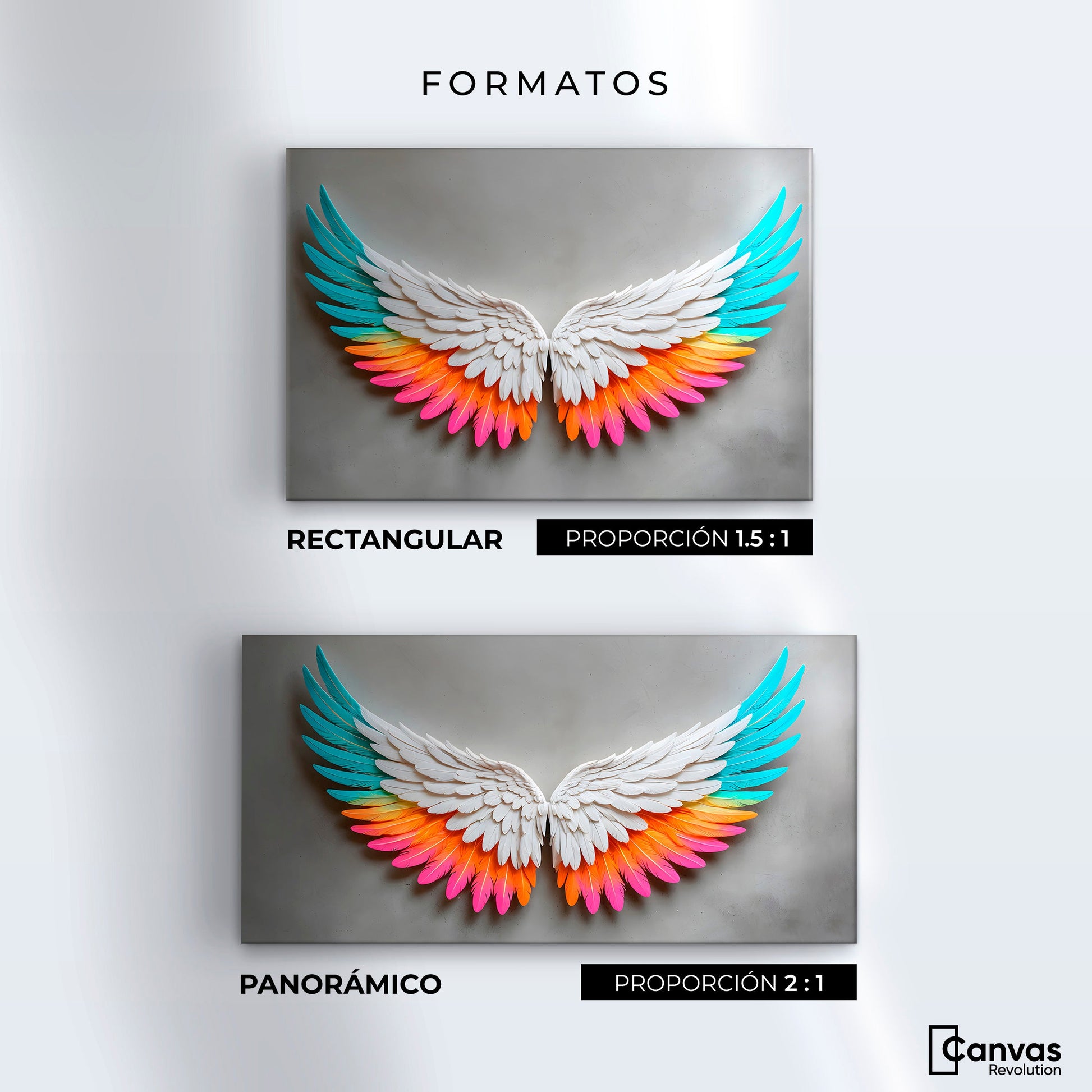 Cuadros Decorativos Canvas Revolution | Alas Angel Armonia | Formatos