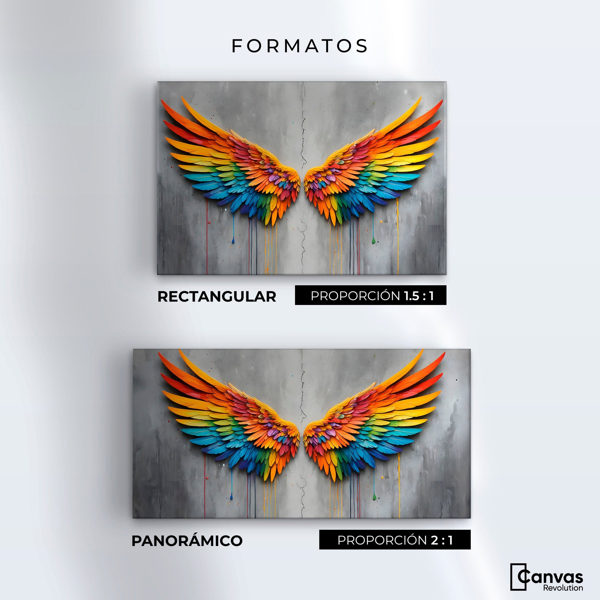 Cuadros Decorativos Canvas Revolution | Alas Angel Colores | Formatos