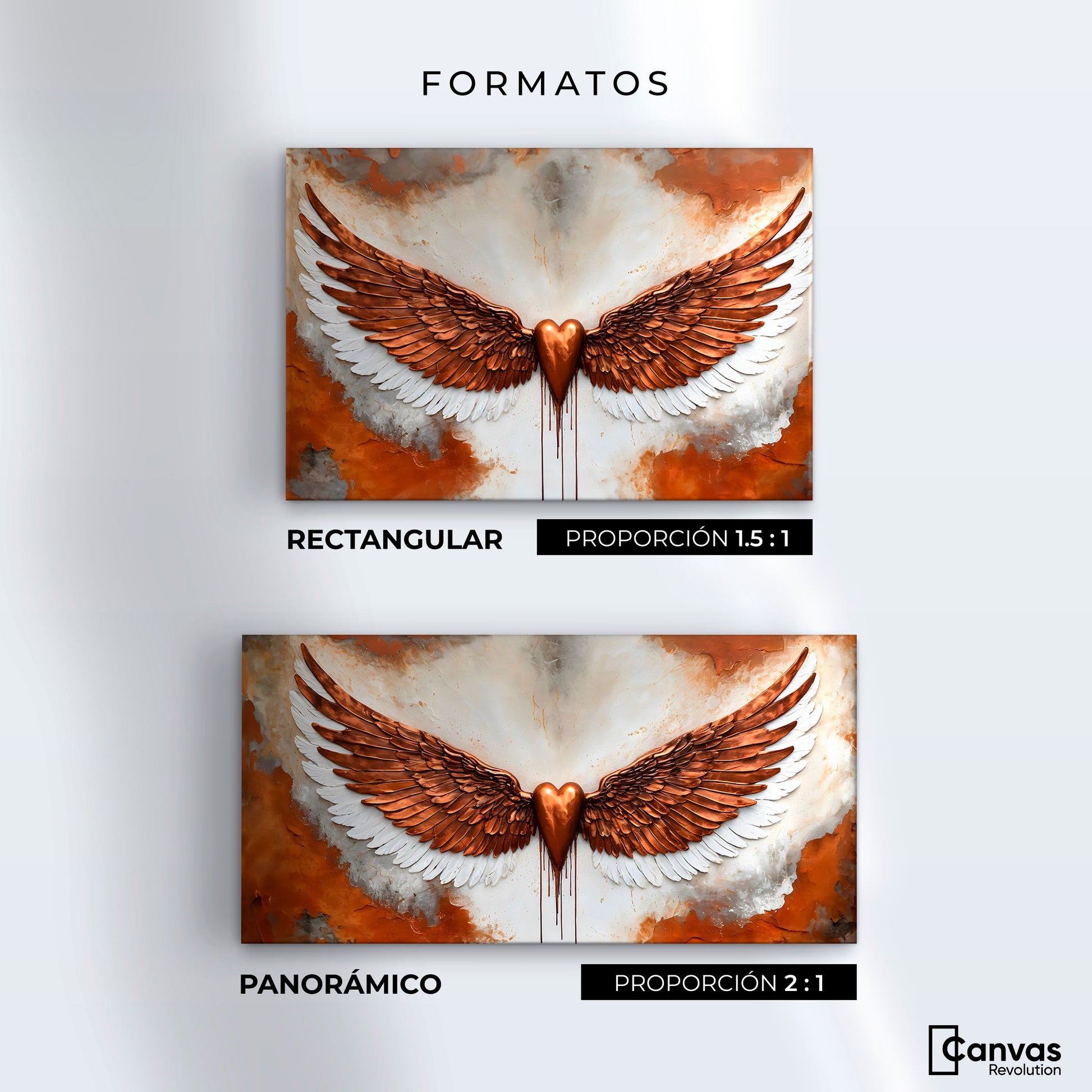 Cuadros Decorativos Canvas Revolution | Alas Angel Fuerza | Formatos