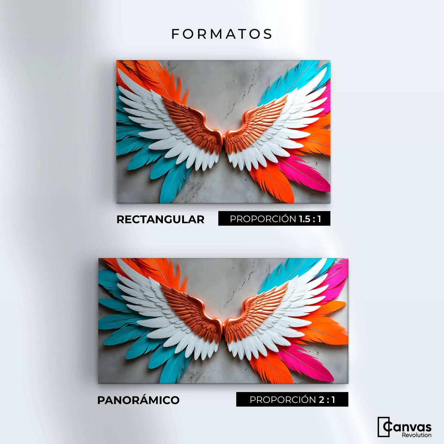 Cuadros Decorativos Canvas Revolution | Alas Angel Infinito | Formatos