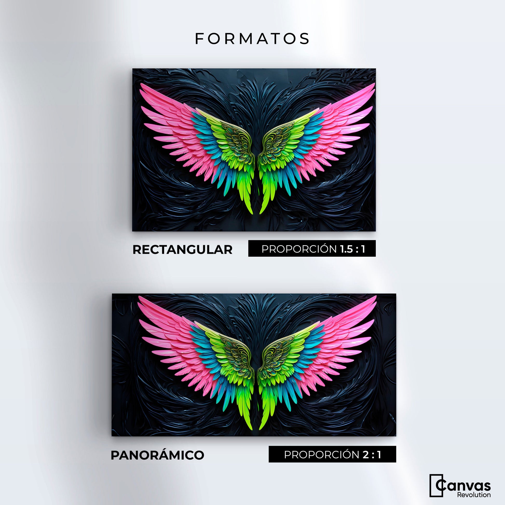 Cuadros Decorativos Canvas Revolution | Alas Angel Lucido | Formatos