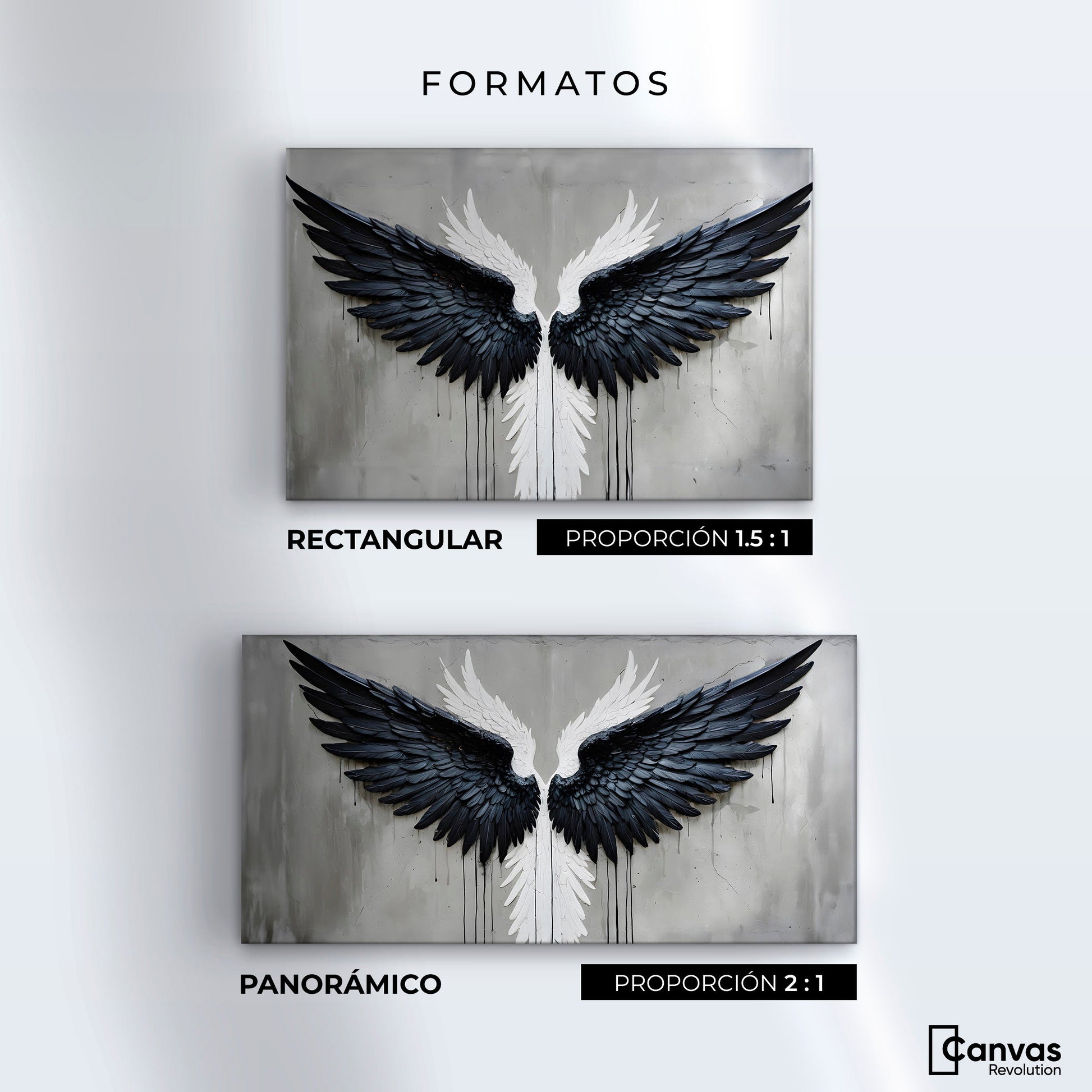 Cuadros Decorativos Canvas Revolution | Alas Angel Oscuro | Formatos