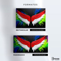 Cuadros Decorativos Canvas Revolution | Alas Angel Radiante | Formatos