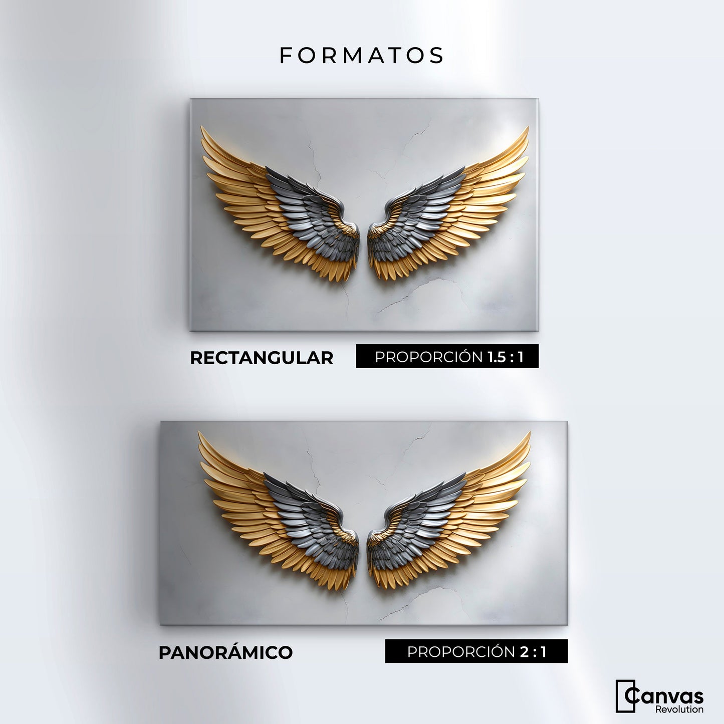 Cuadros Decorativos Canvas Revolution | Alas Angel Sereno | Formatos