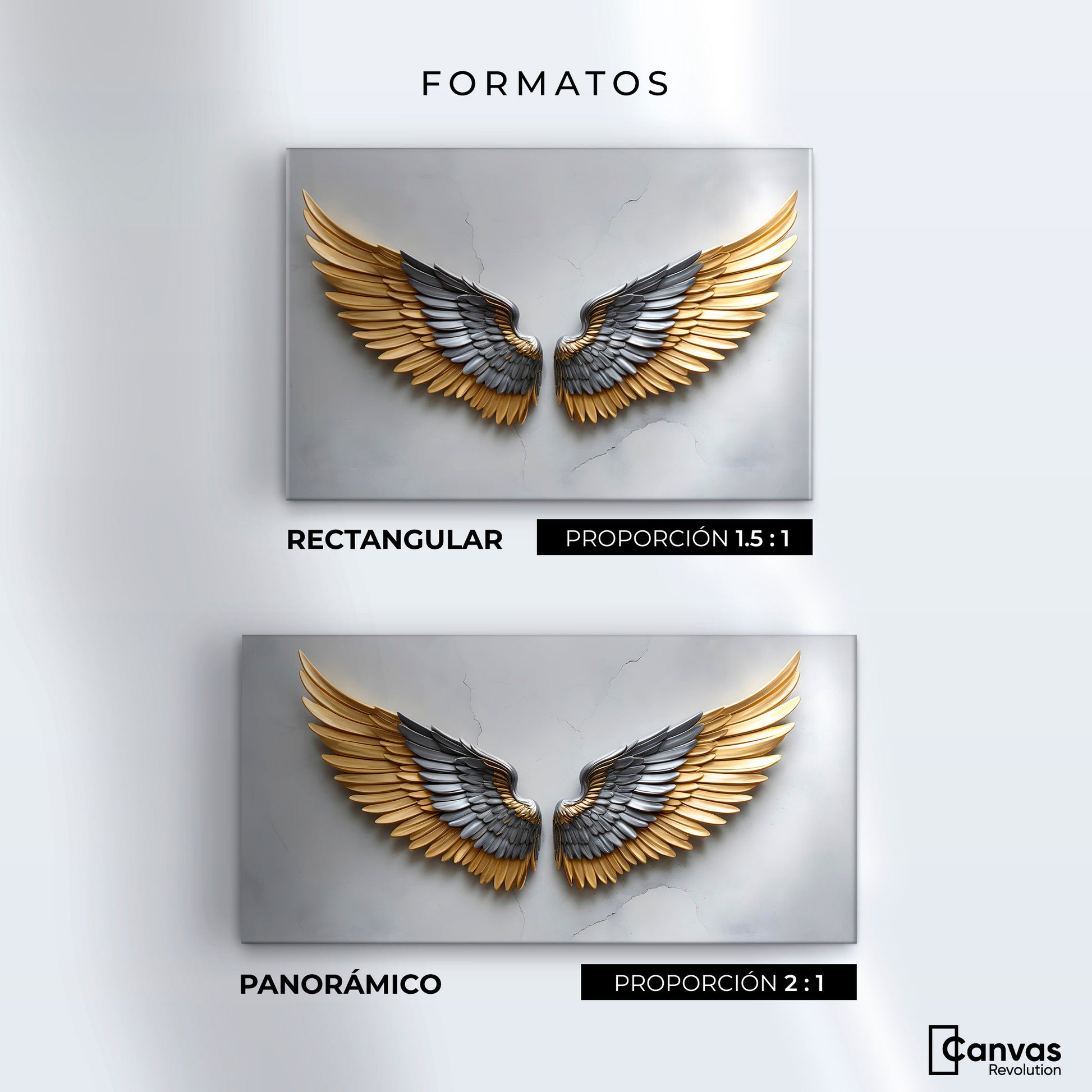 Cuadros Decorativos Canvas Revolution | Alas Angel Sereno | Formatos