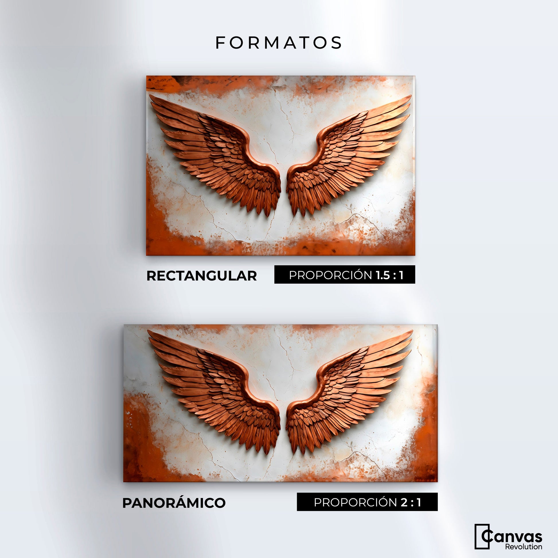 Cuadros Decorativos Canvas Revolution | Alas Angel Sublime | Formatos