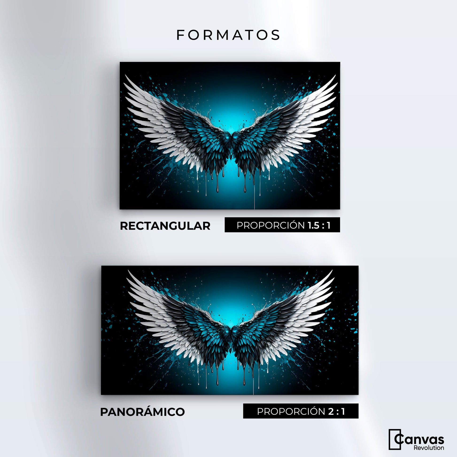 Cuadros Decorativos Canvas Revolution | Alas Angel Vuelo | Formatos