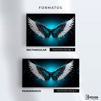 Cuadros Decorativos Canvas Revolution | Alas Angel Vuelo | Formatos