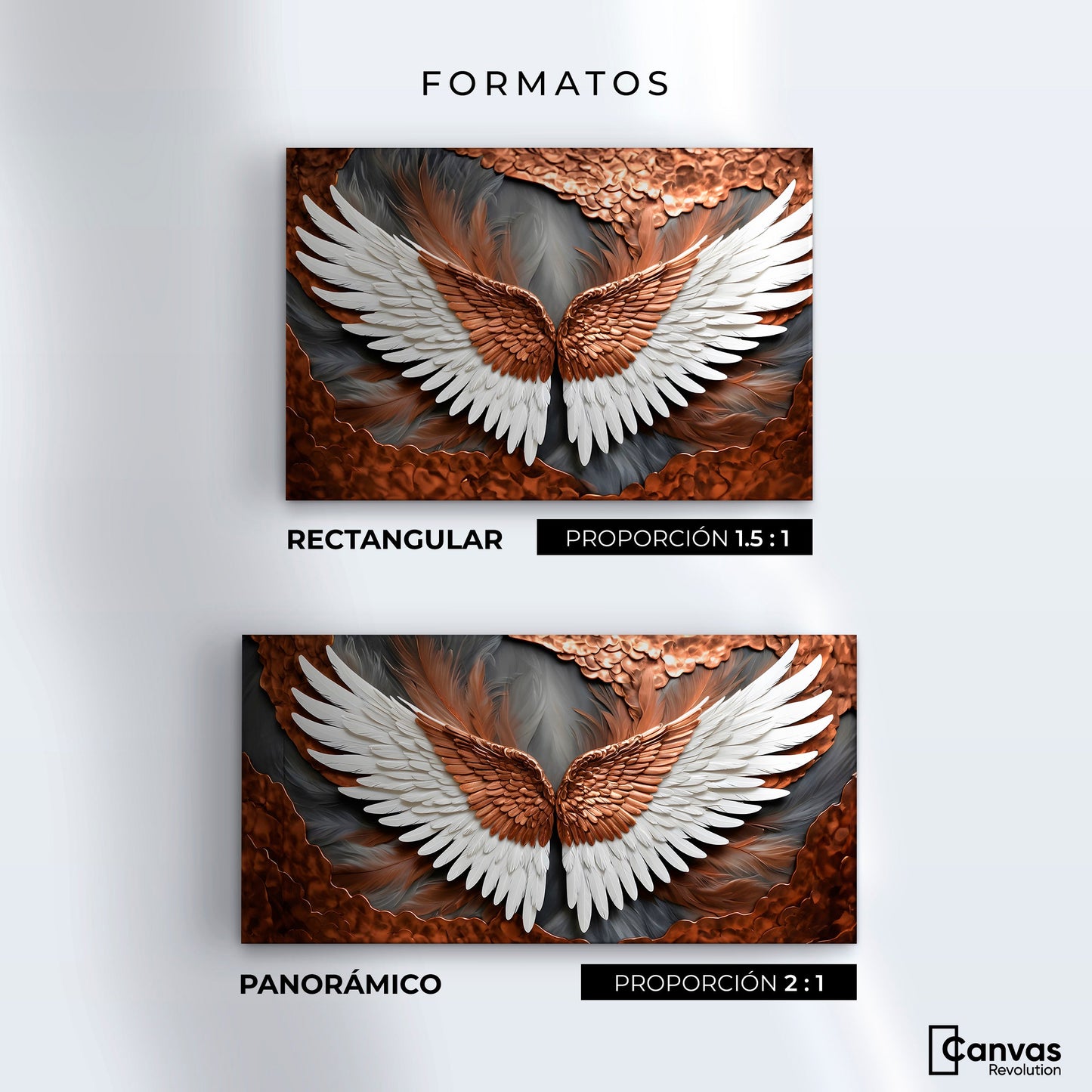Cuadros Decorativos Canvas Revolution | Alas De Eternidad | Formatos