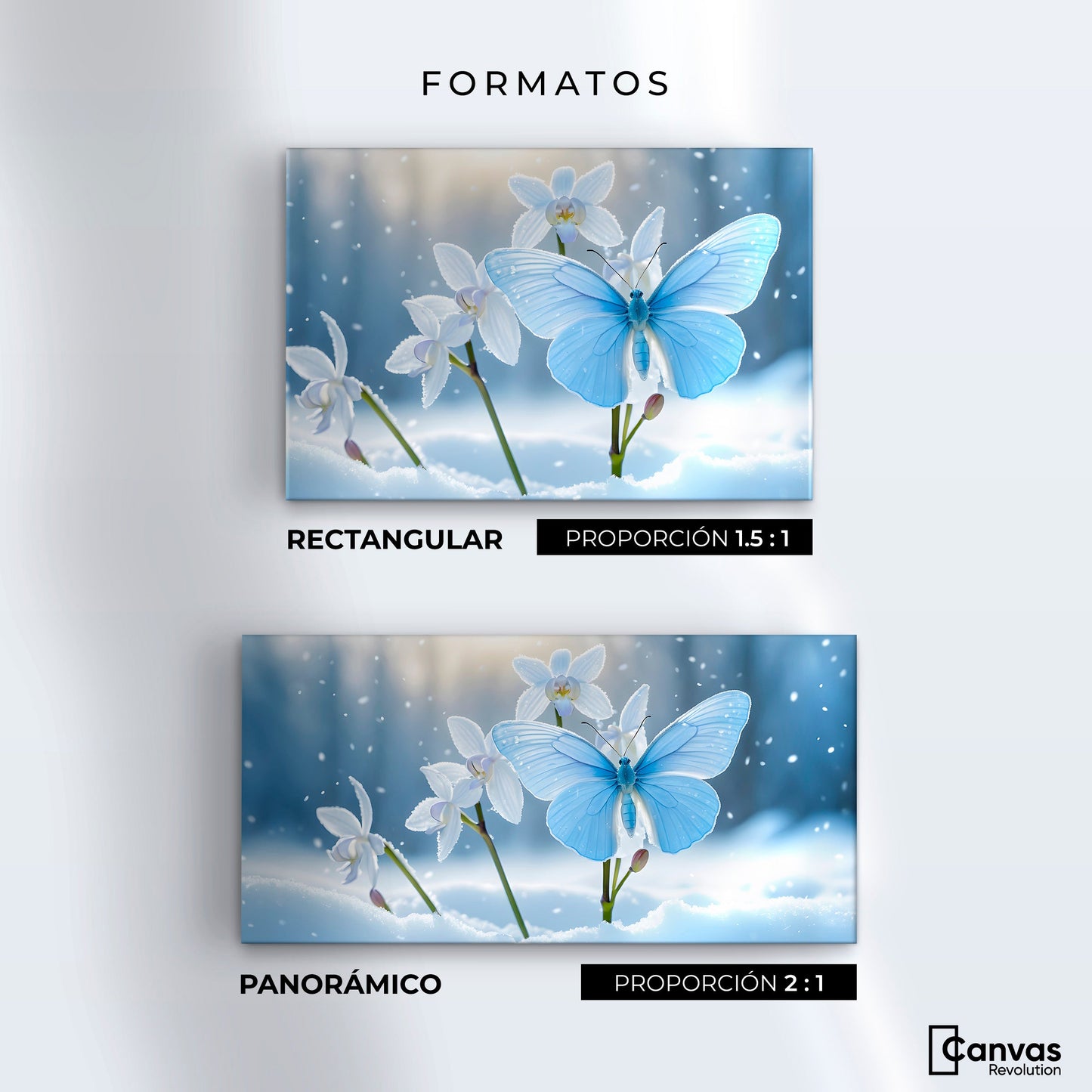 Cuadros Decorativos Canvas Revolution | Alas En Hielo | Formatos