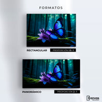 Cuadros Decorativos Canvas Revolution | Alas Entre Arboles | Formatos