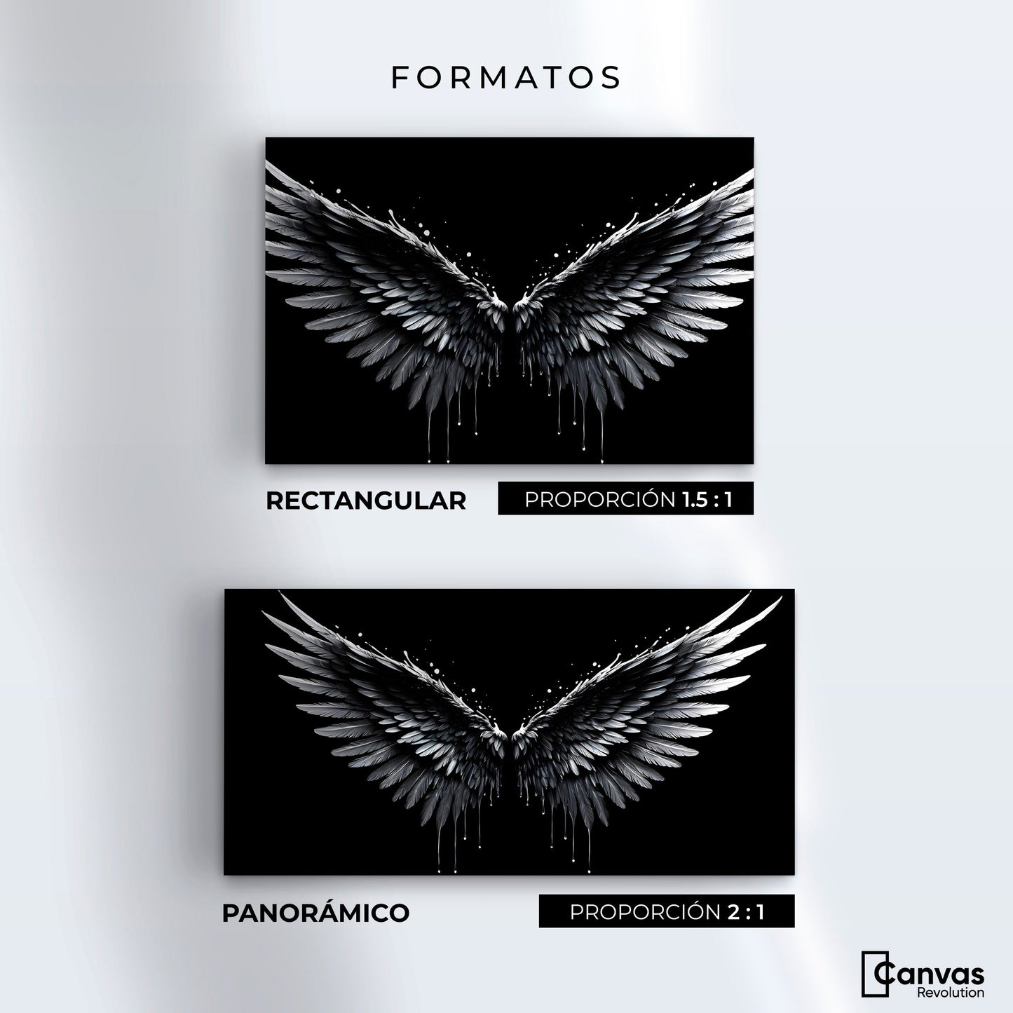 Cuadros Decorativos Canvas Revolution | Alas Esplendidas | Formatos