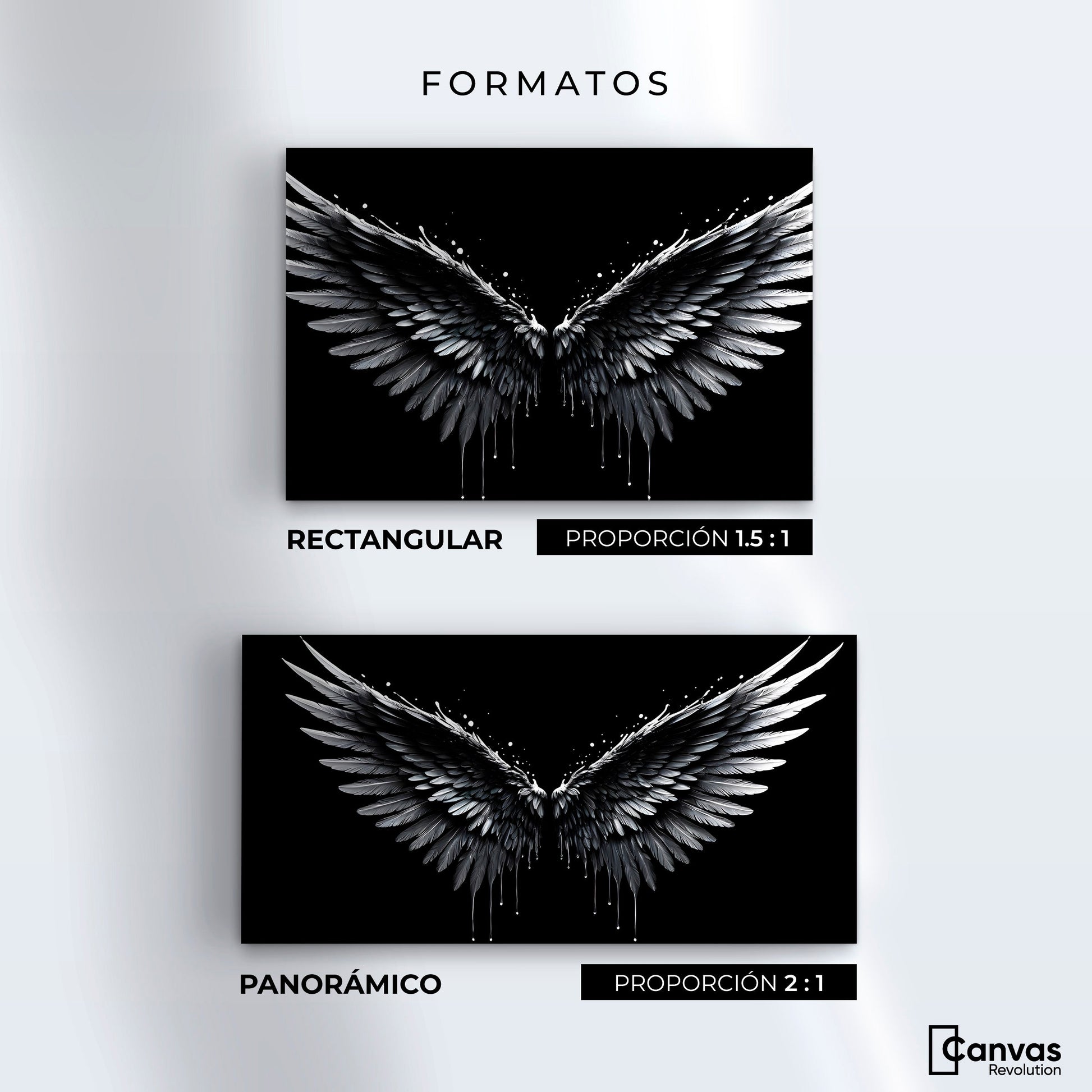 Cuadros Decorativos Canvas Revolution | Alas Esplendidas | Formatos