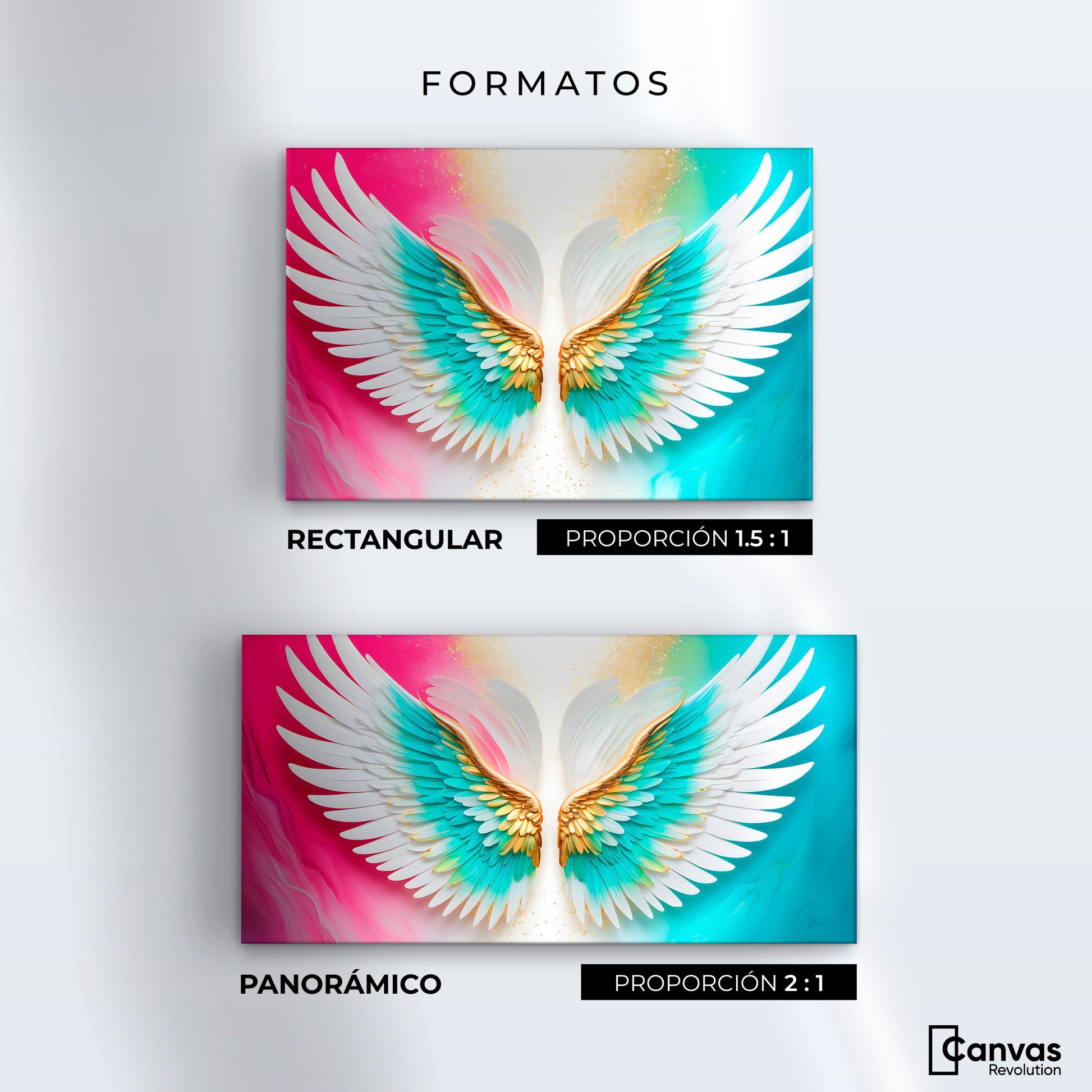 Cuadros Decorativos Canvas Revolution | Alas Plumas De Paz | Formatos